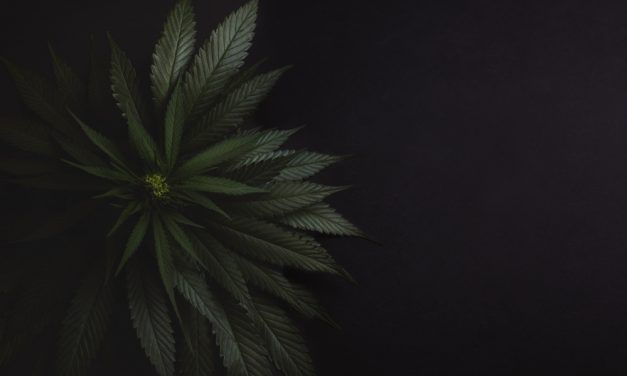 Fibromialgia y marihuana