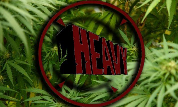 Cuál es la marihuana más potente en la actualidad