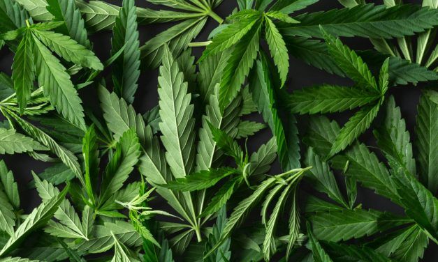 Cuál es la cantidad de marihuana considerada de consumo propio