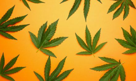 Quiénes consumen más marihuana en el mundo: clasificación por países